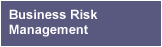 Business Risk Management